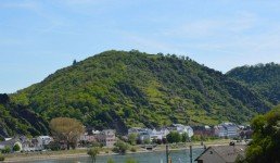 Hauptbild Sonnenverwöhntes Wohnhaus mit atemberaubendem Rheinblick - eigener Miniweinberg